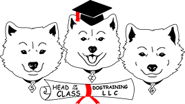Head of the Class Dog Training LLC